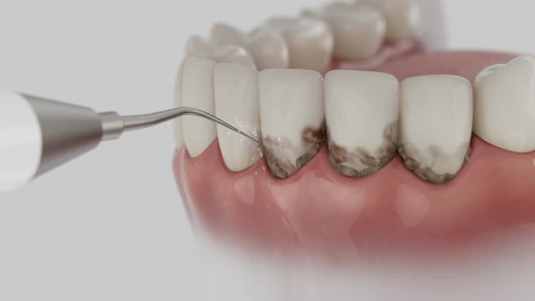 Reliable Dental contractor in Pacific, WA by Dentist Open Now